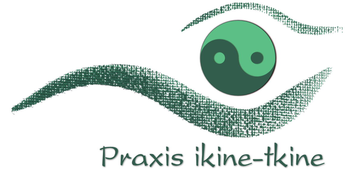 Logo Praxis ikine-tkine